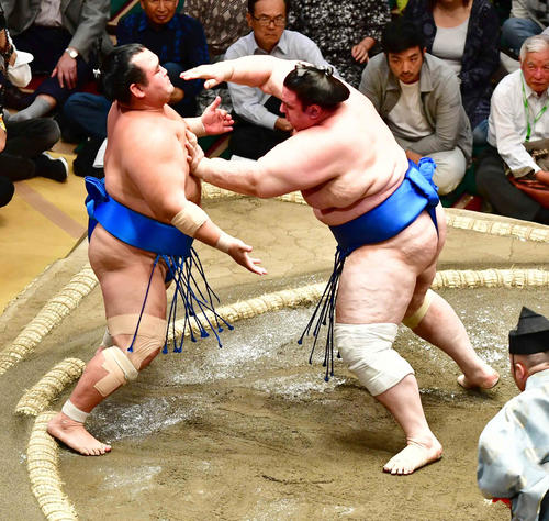 碧山(右)は突き出しで琴奨菊を下す(撮影・小沢裕)