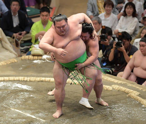 照強（右）は送り掛けで千代丸を下す（撮影・加藤諒）