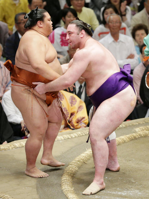 御嶽海（左）を寄り切りで下した栃ノ心（2019年5月21日撮影）