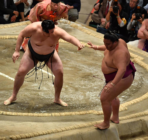 竜電（左）は御嶽海を押し出しで破る（撮影・柴田隆二）
