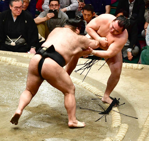 鶴竜（右）は押し出しで高安に敗れる（撮影・小沢裕）