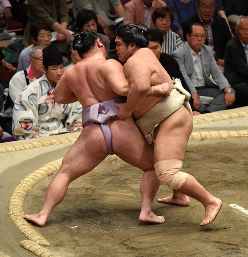 志摩ノ海（右）は琴恵光を寄り切りで破る（撮影・柴田隆二）