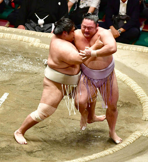 志摩ノ海（左）は琴恵光を寄り切りで下す（撮影・小沢裕）