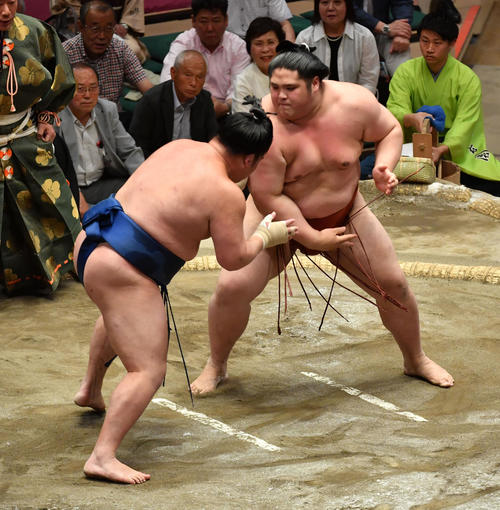 貴源治（右）は千代の海を寄り切りで破る（撮影・柴田隆二）