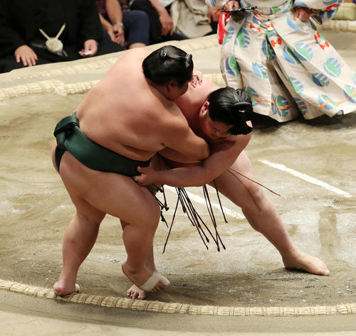 大翔丸（左）を寄り切りで破る貴源治（撮影・鈴木正人）