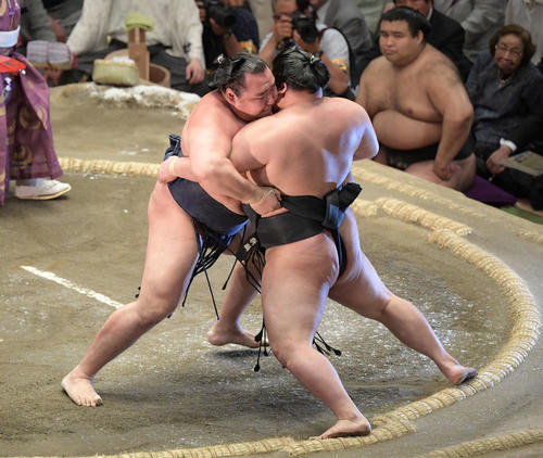 大相撲夏場所千秋楽　鶴竜（左）は寄り切りで豪栄道を下す（撮影・加藤諒）