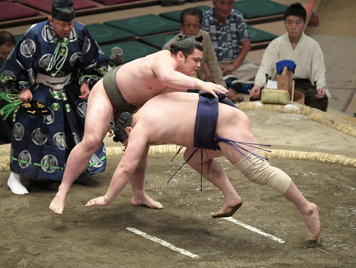 大相撲夏場所千秋楽　竜虎（左）ははたき込みで青狼を下す（撮影・加藤諒）