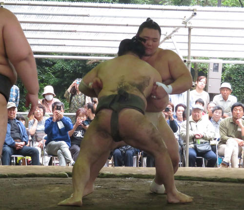 多くの市民が見つめる中、高砂部屋の茨城合宿初日に相撲を取る稽古を再開した朝乃山（右）