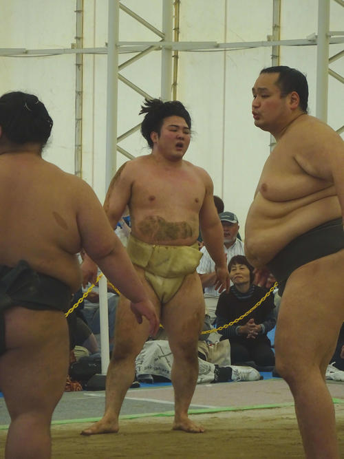 滋賀・長浜合宿初日、白鵬にたっぷりかわいがられ、青息吐息の炎鵬（撮影・加藤裕一）