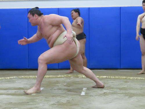 名古屋場所の新宿舎として利用するトヨタスポーツセンター内の土俵で稽古する白鵬
