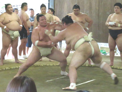 時津風部屋に出稽古し、豊山（手前右）の激しい突き、押しに応戦する朝乃山