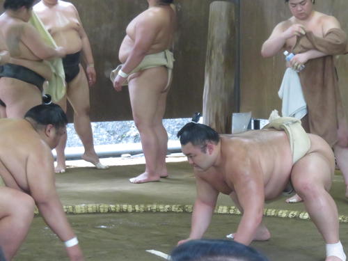 御嶽海（左）と仕切りで正対する朝乃山