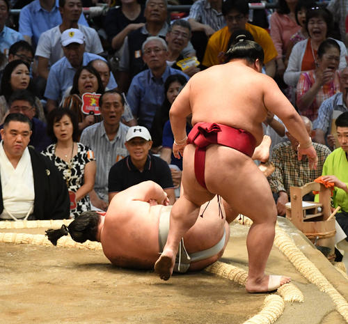 大栄翔（右）は明生を押し倒しで破る（撮影・前岡正明）
