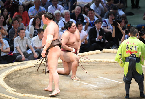 白鵬（左）に敗れ、土俵に膝をつく阿炎（撮影・加藤諒）