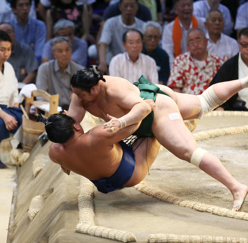 照強（下）を浴びせ倒しで破る佐田の海（撮影・河田真司）