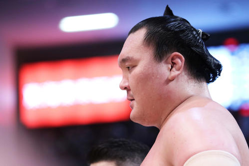 白鵬またも若手の挑戦はねのけ、はたき込み7連勝 - 大相撲 : 日刊スポーツ