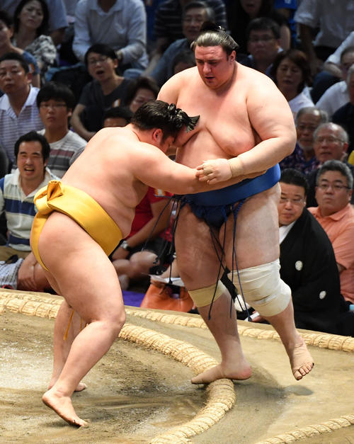 大相撲名古屋場所9日目　遠藤（左）が寄り切って碧山に勝利する(撮影・奥田泰也）