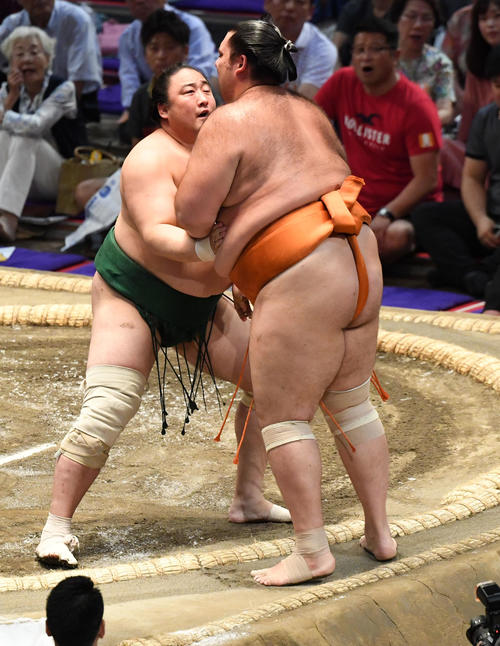 大相撲名古屋場所9日目　佐田の海（左）が寄り切って魁聖に勝利する（撮影・奥田泰也）