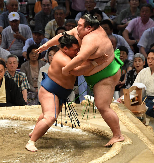 大相撲名古屋場所10日目　照強（左）が押し出して千代丸に勝利する（撮影・奥田泰也）