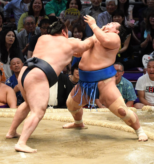 大相撲名古屋場所11日目　鶴竜（左）が突き倒しで琴奨菊に勝利する（撮影・奥田泰也）