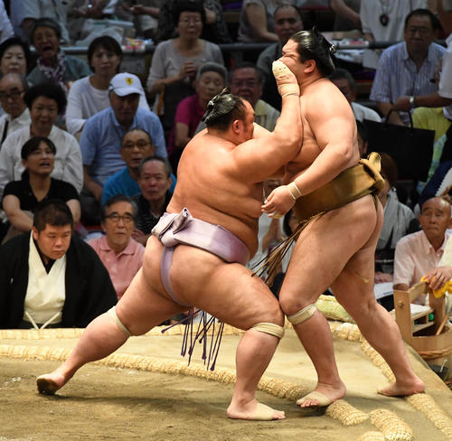 琴勇輝（左）は輝を押し出しで破る（撮影・前岡正明）