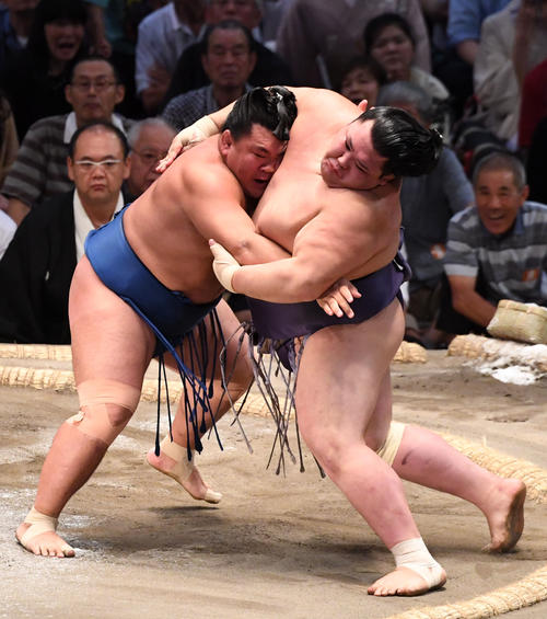 大相撲名古屋場所13日目　照強（左）が押し出しで阿武咲に勝利する（撮影・奥田泰也）