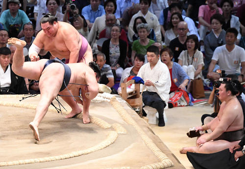 大相撲名古屋場所13日目　友風に鶴竜がはたき込みで負ける、右は白鵬（撮影・奥田泰也）