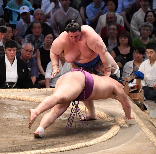大相撲名古屋場所13日目　碧山がはたき込みで朝乃山に勝利する（撮影・奥田泰也）