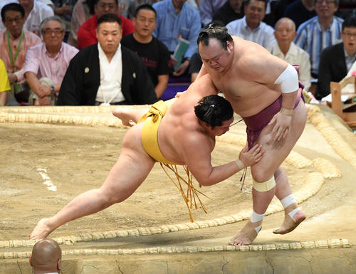 大相撲名古屋場所14日目　遠藤（左）寄り切りで宝富士に勝利する（撮影・奥田泰也）