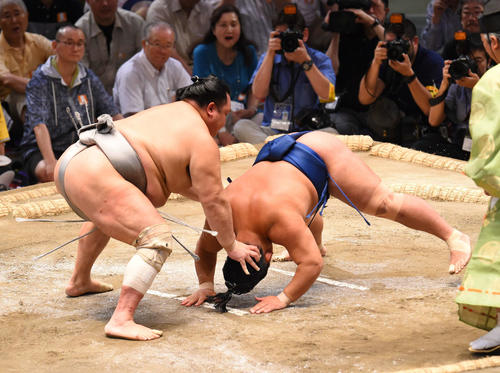 大相撲名古屋場所14日目　北勝富士（左）に突き落としで敗れる照強（右）（撮影・森本幸一）