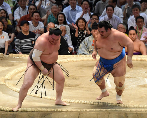 大相撲名古屋場所14日目　琴奨菊（右）が寄り切りで白鵬に勝利する（撮影・奥田泰也）