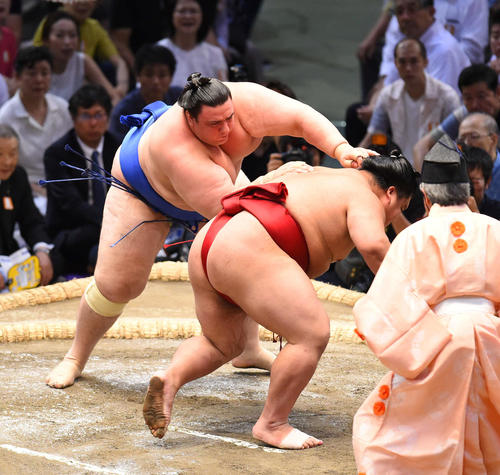 大相撲名古屋場所千秋楽　大栄翔（右）をはたき込みで破る碧山（左）（撮影・森本幸一）
