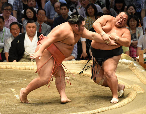 千代大龍（左）は豊ノ島を突き倒しで破る（撮影・前岡正明）