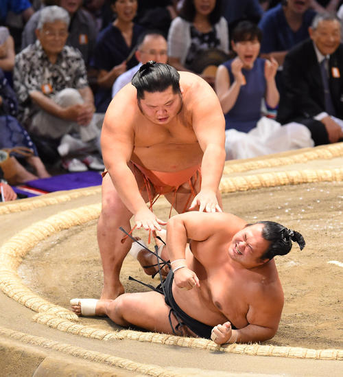 大相撲名古屋場所千秋楽　豊ノ島（手前）を突き倒しで破る千代大龍（奥）（撮影・森本幸一）