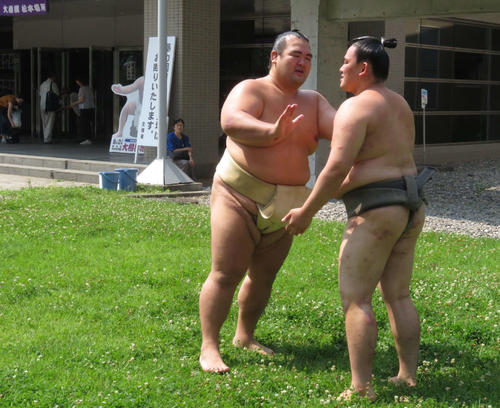 緑の上で若い衆を相手に山稽古を行った琴奨菊（左）