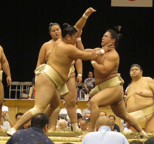 激しい稽古を行う若隆景（右）と一山本