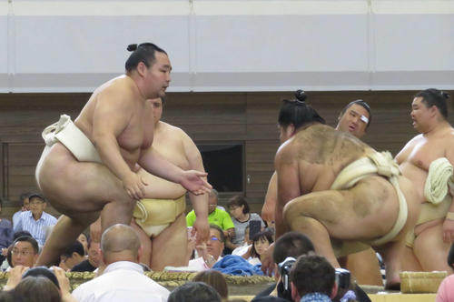 ぶつかり稽古で2日連続で大栄翔（手前右）に胸を出した鶴竜