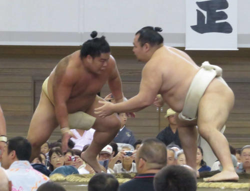ぶつかり稽古で2日連続で鶴竜（右）に胸を借りた大栄翔