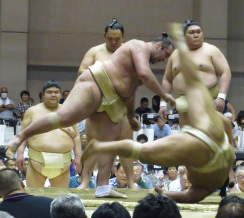 ぶつかり稽古で琴ノ若（手前右）に胸を出した栃ノ心