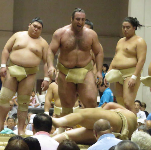 ぶつかり稽古で琴ノ若（手前）に胸を出した栃ノ心
