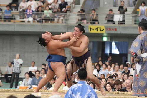 照強を突き押しで攻める一山本（右）（撮影・西塚祐司）