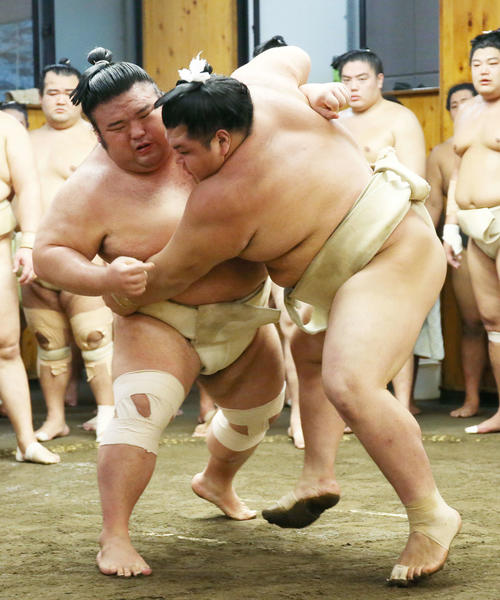 阿武咲（右）と取組稽古をする貴景勝（2019年9月2日撮影・河田真司）