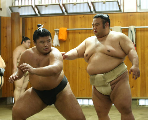 貴健斗（左）を指導する貴景勝（撮影・河田真司）