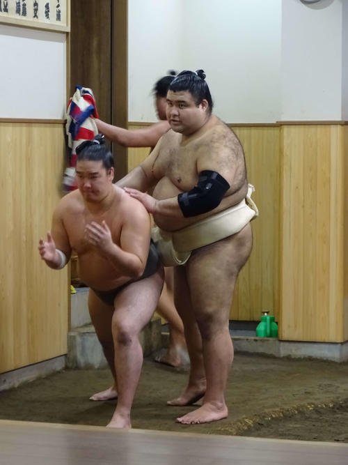 朝稽古で若い衆を指導する高安（撮影・加藤裕一）