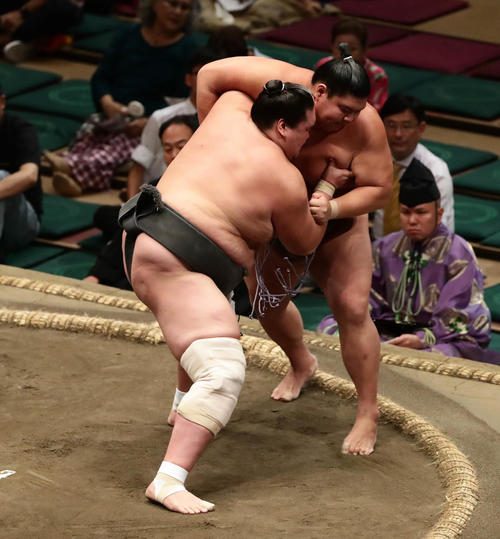 北勝陽を破った照ノ富士（左）（撮影・丹羽敏通）