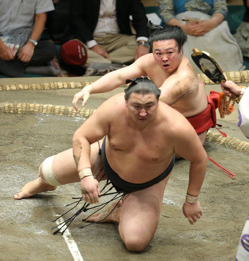 東龍（手前）に浴びせ倒しで敗れる炎鵬（撮影・河田真司）