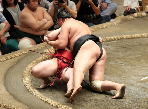 炎鵬（左）を浴びせ倒しで破る東龍（撮影・鈴木正人）