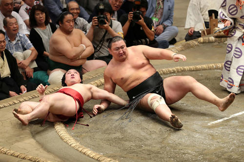 炎鵬（左）を浴びせ倒しで破った東龍（撮影・鈴木正人）