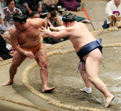 旭大星（左）を押し出しで破る勢（撮影・鈴木正人）