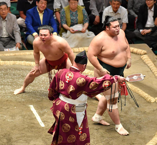 豊山（右）は炎鵬をはたき込みで破る（撮影・柴田隆二）